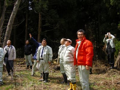 水源林視察